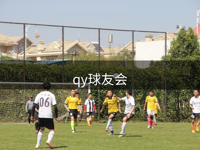 网站由来